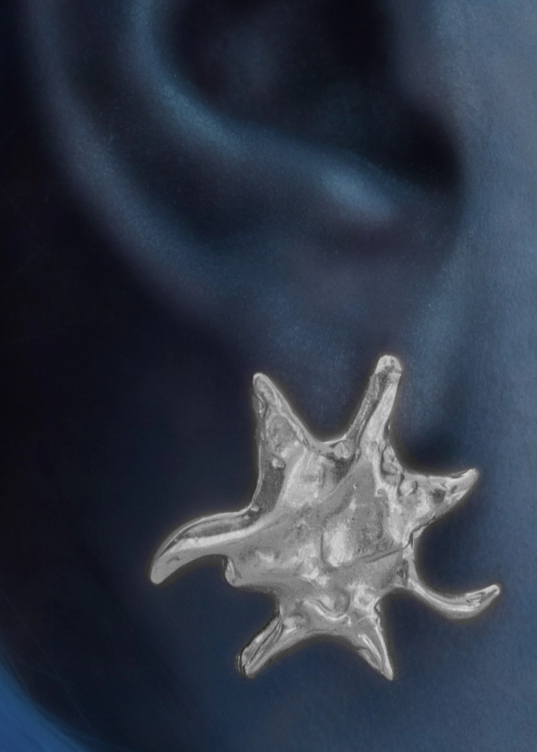 Supernova 3C58 Silver Earrings